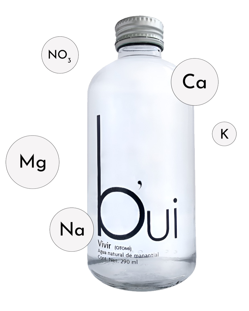 Botella B'ui con propiedades minerales NO3, Ca, K, Mg, Na